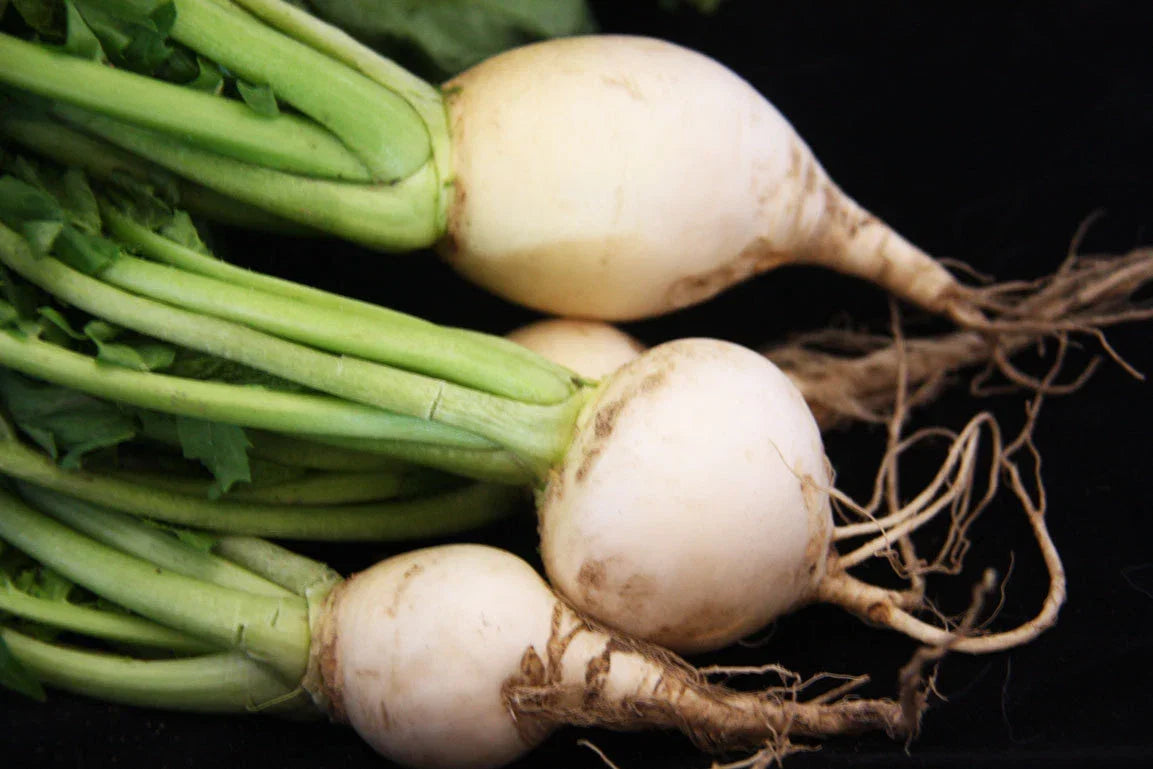 Turnip Seeds - White Egg Variety - Brassica rapa - Non-GMO Fresh Seeds for Planting - Ideal for Home Garden and Bountiful Harvest