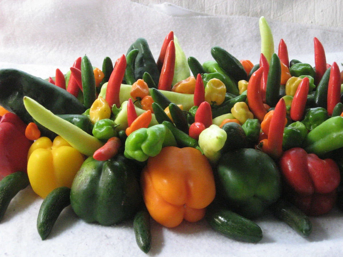 Bulk 500 Seeds Holy Moley Pepper Mix - Sweet to Spicy Blend - Capsicum Annuum - Ideal for Home Garden and Containers