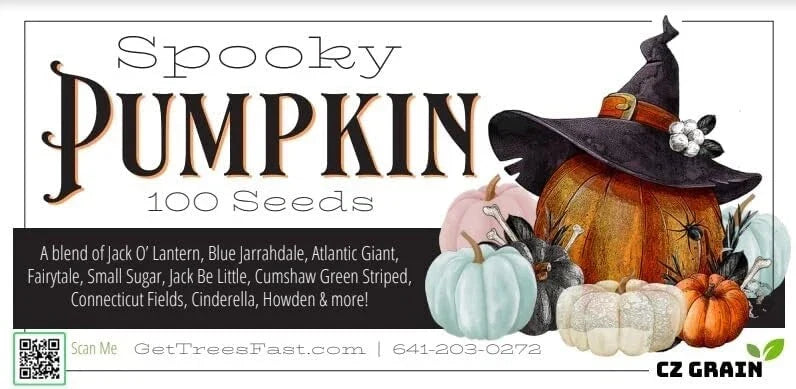 Spooky Blend Pumpkin Seeds - 100 Mixed Seeds for Planting Halloween Variety, Cucurbita pepo, Colorful & Unique Shapes