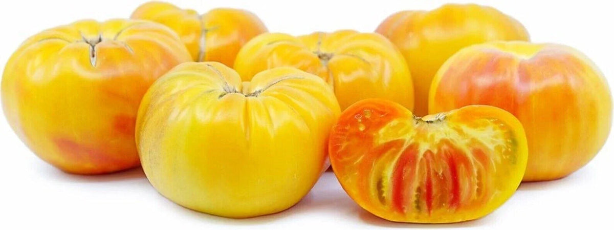 Pineapple Tomato Seeds - 120+ Heirloom Organic NON-GMO - Solanum lycopersicum - Rare Yellow Orange Striped Variety