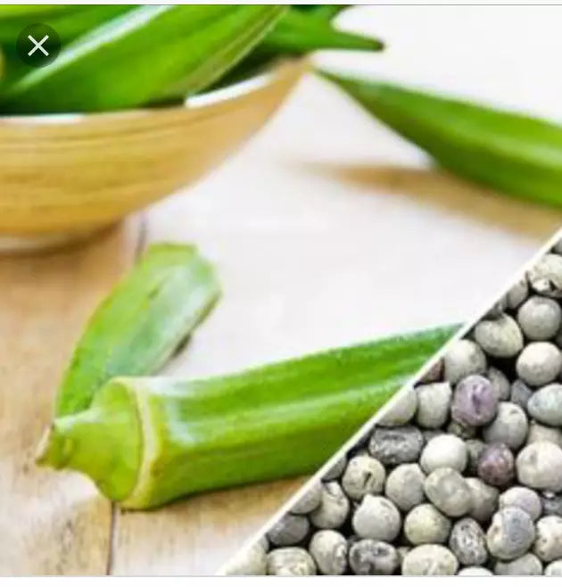 Texas Longhorn Okra Seeds - Heirloom Variety - 50+ or 100+ Pack - Abelmoschus esculentus - Perfect for Garden or Container