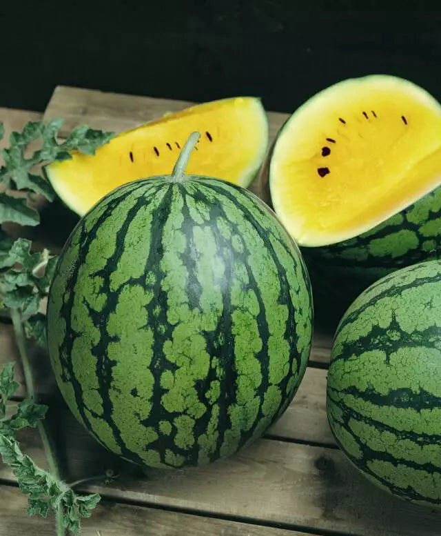 Baby Doll Yellow Watermelon Seeds - 10 Pack - Citrullus lanatus - Compact, Extra Sweet, Bright Yellow Interior