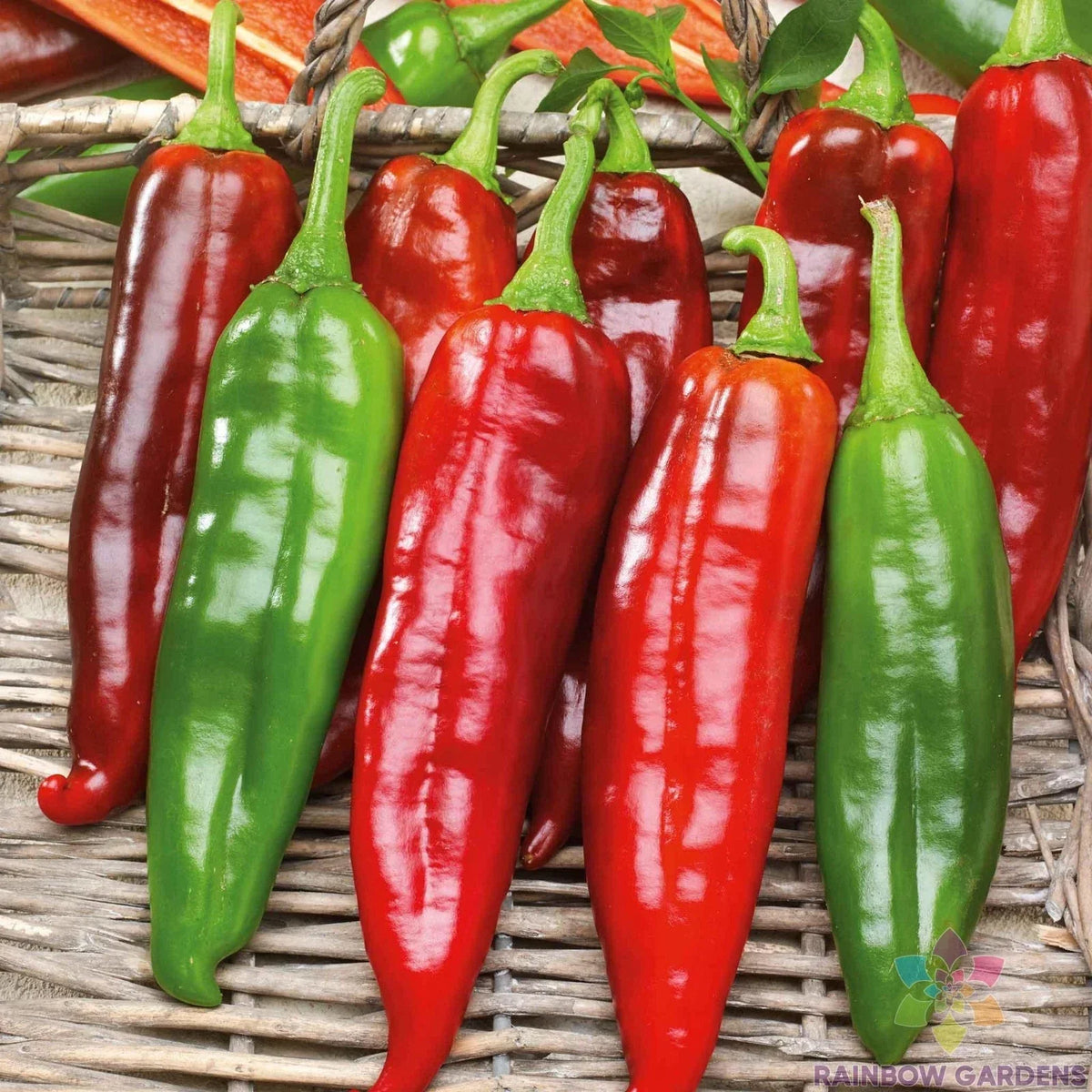 Big Jim Hot Pepper Seeds - 25+ Count - Capsicum annuum - USA Grown - Ideal for Garden Planting - Non-GMO