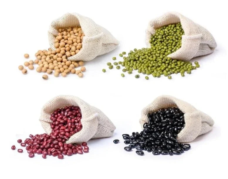 Bean Bundle Seeds - 400 Total - Soybeans, Mung Beans, Adzuki Beans, Black Soybean - Glycine max, Vigna radiata, Vigna angularis