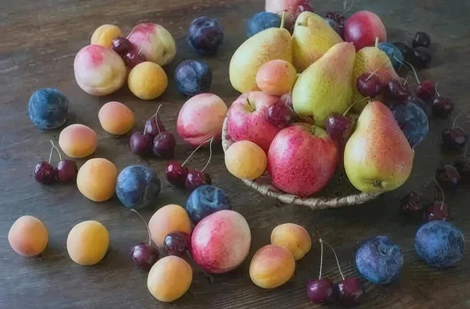 Assorted Fruit Cuttings - 50+ Variety Pack - Ideal for Home Gardens & Orchards - Malus, Pyrus, Prunus - TreesAgain