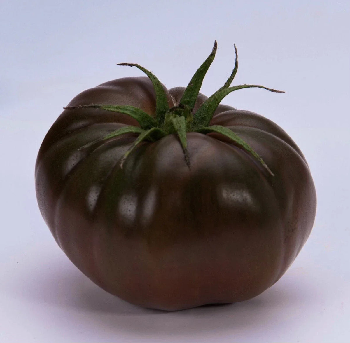 Cherokee Purple Tomato Seeds - 30+ Organic Heirloom Seeds - Solanum lycopersicum - Native American Variety