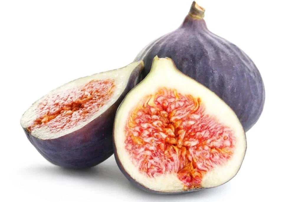 Portuguese Fig Seeds - 100+ Count - Roxo Variety - Ficus carica - Non-GMO for Home Gardening - USA Grown