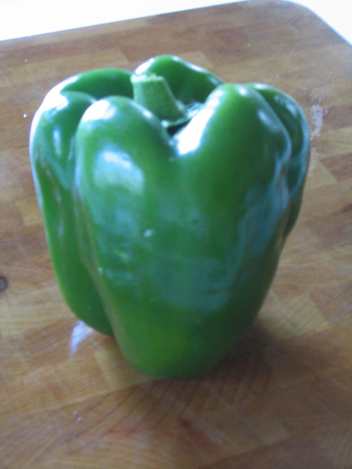 Yolo Wonder Sweet Pepper Seeds - 20 Glossy Seeds, Capsicum annuum, Chef's Favorite Garden Variety