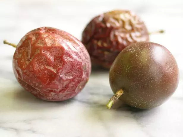 Purple Passionfruit Live Plant 5" Starter Pesticide-Free Passiflora edulis - Exotic Fruit Vine for Garden or Patio