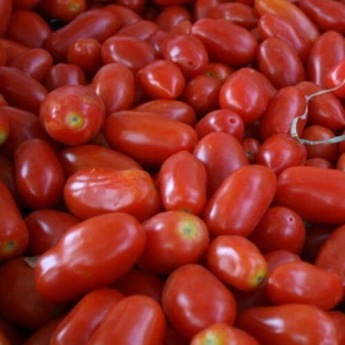 San Marzano Tomato Seeds - Heirloom Non-GMO - Determinate Variety - Solanum lycopersicum - 25 Seeds per Packet