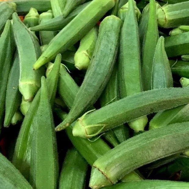 Okra Seeds 50 Ct Clemson Spineless Non-GMO Vegetable Seeds Abelmoschus esculentus for Home Gardening and Container Planting