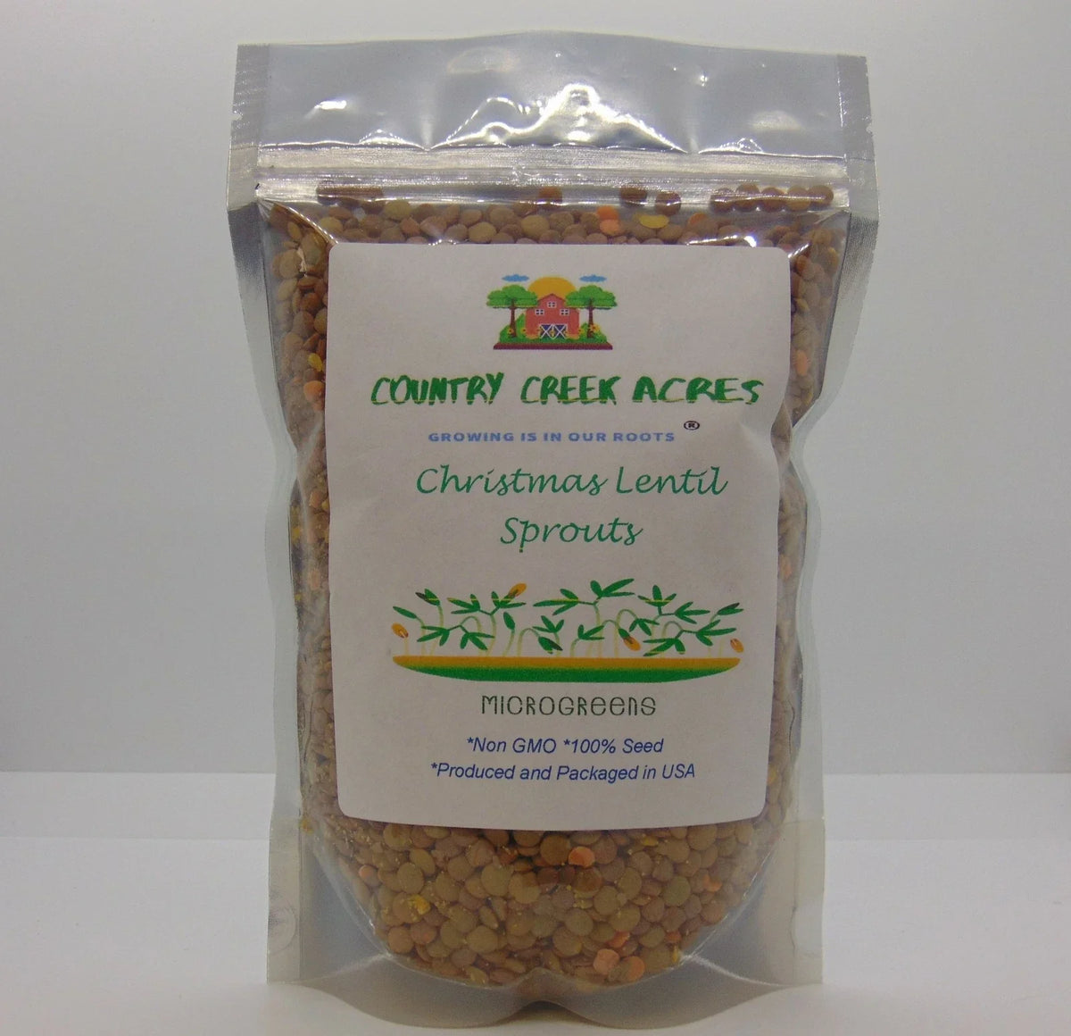 Organic Green Lentils 16 oz - Christmas Lentils - Nutrient-Rich Legumes for Cooking - Lens culinaris - Non-GMO Seeds