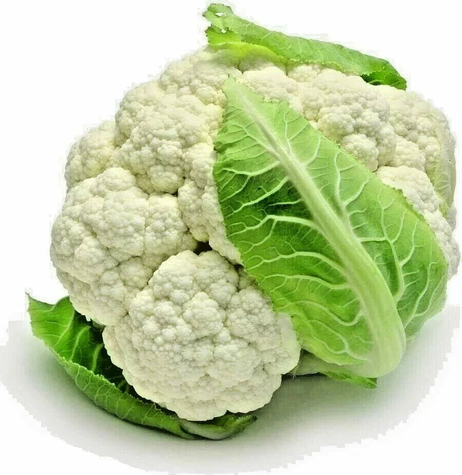 Cauliflower Seeds - 1000+ Heirloom Spring Snowball Non-GMO - Brassica oleracea var. botrytis - Organic Vegetable Gardening