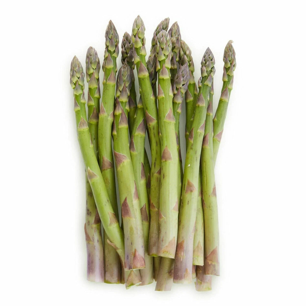 Mary Washington Asparagus Seeds | Pack of 50 Non-GMO Heirloom Vegetable Seeds | Asparagus officinalis