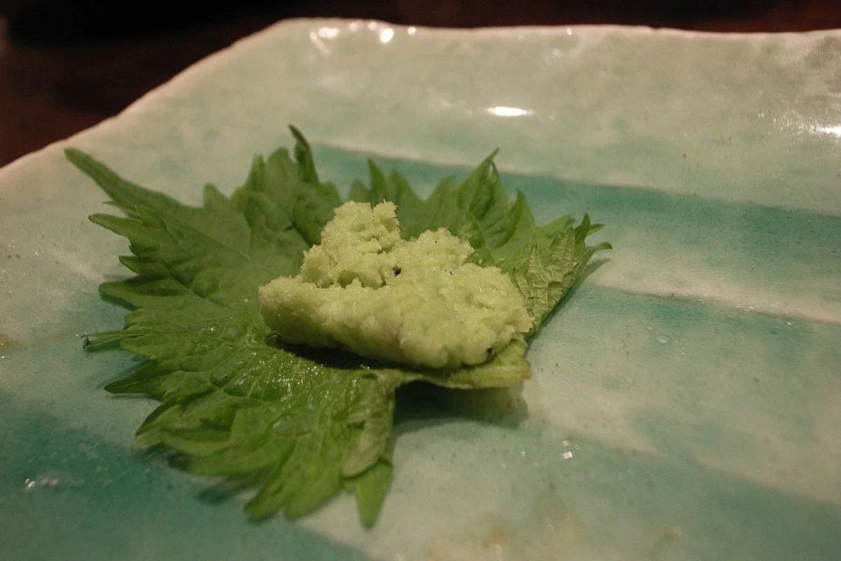 500 Non-GMO Green Shiso Seeds | Perilla frutescens | Culinary Herb | Beef Steak Plant | USA Seller