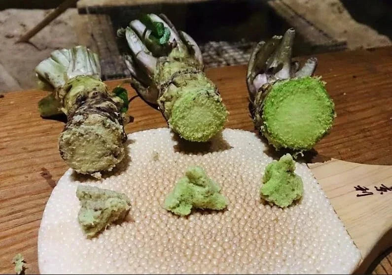 Japanese Wasabi Root Seeds - 5 Organic Heirloom Seeds for Planting - Wasabia japonica - Culinary Herb