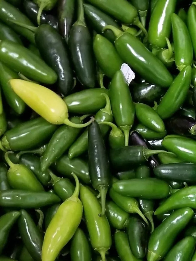 Jalapeno Pepper Seeds 50+ Non-GMO Heirloom Capsicum annuum Hot Vegetable for Home Garden