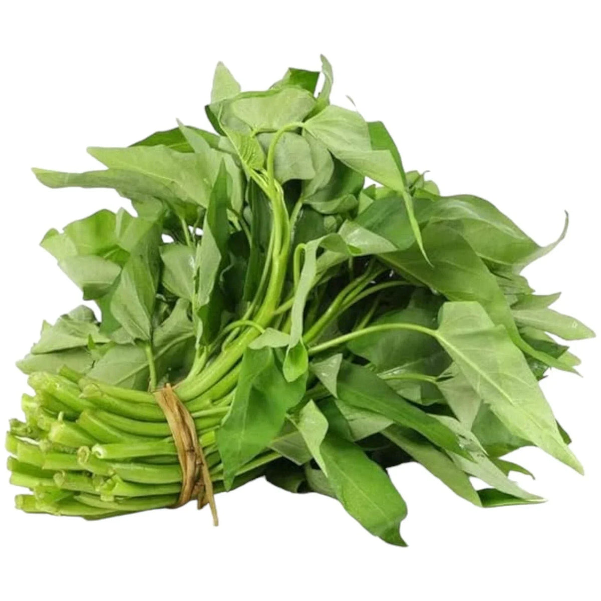Water Spinach Seeds 120pcs - Organic Heirloom 'Kong Xin Cai' (Ipomoea aquatica) Non-GMO for Home Gardening