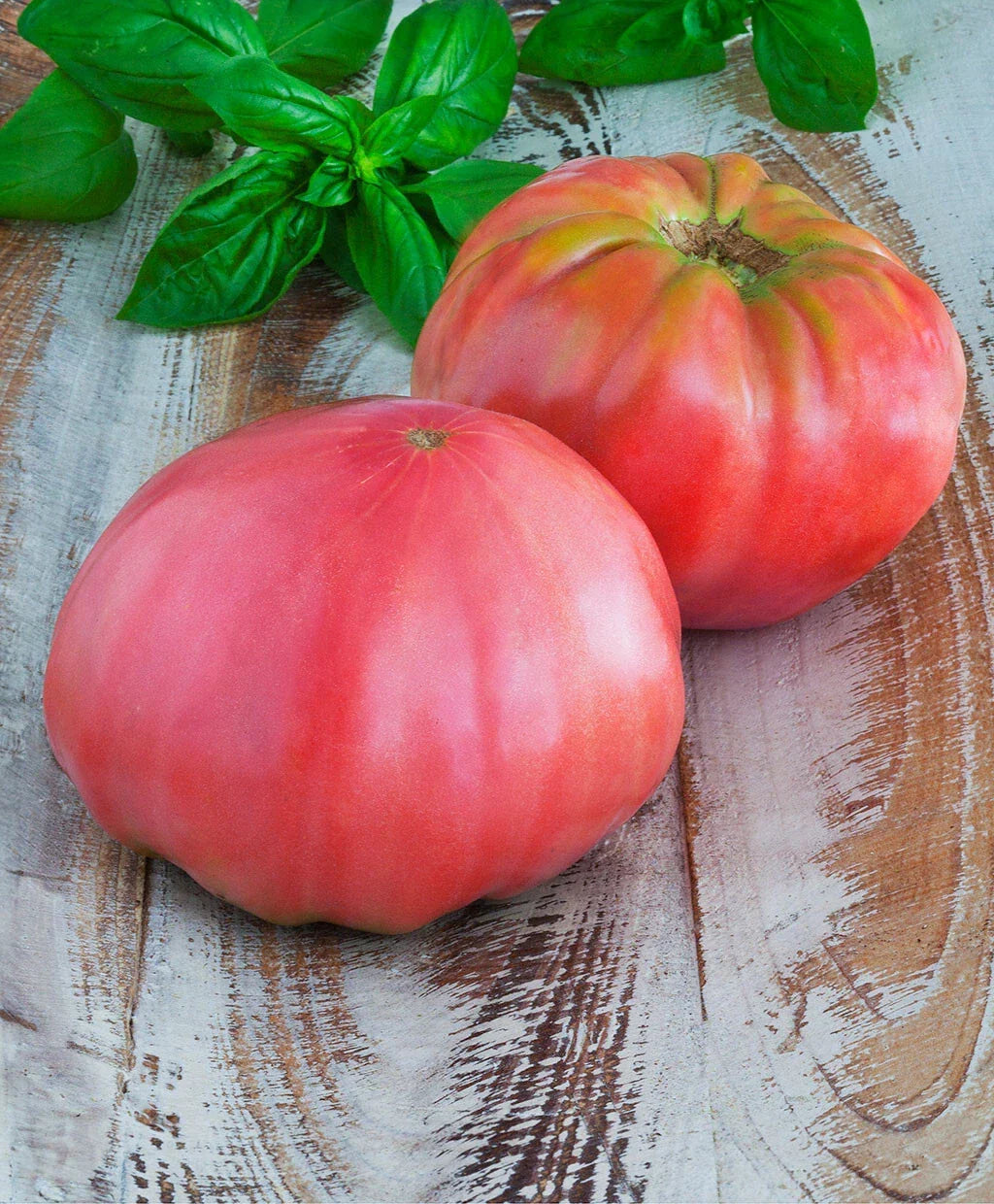 Brandywine Pink Tomato Seeds - 30 Heirloom Seeds - Solanum lycopersicum - Large Slicing, Potato-Leaved Variety