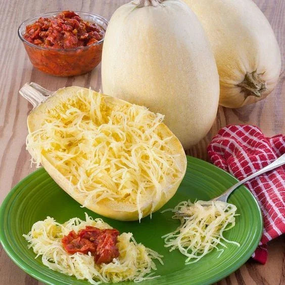 Spaghetti Squash Seeds - 30+ Non-GMO Organic Open Pollinated - Cucurbita pepo - Easy to Grow for Home Gardens