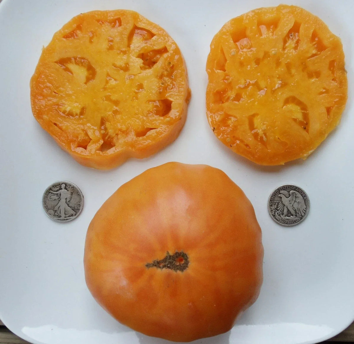 Fresh Tomato Seeds - 25 Pack - Kellogg's Breakfast - Solanum lycopersicum - Heirloom, Non-GMO, High Yield Variety