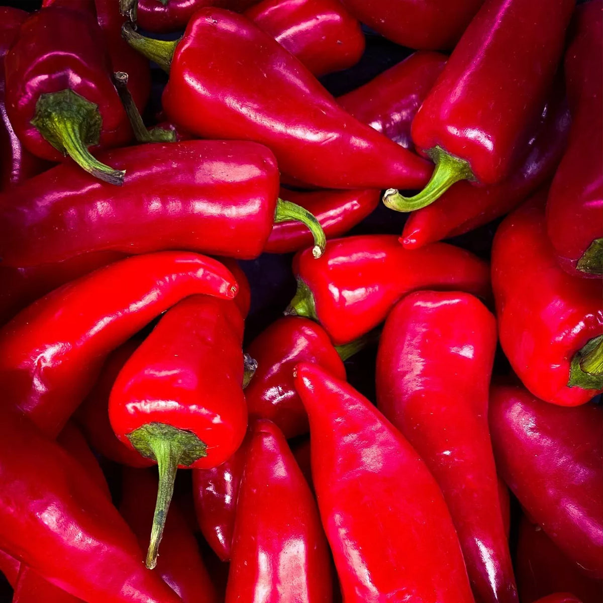 Fresno Chili Hot Pepper Seeds 25+ Non-GMO Heirloom Capsicum annuum for Vegetable Garden