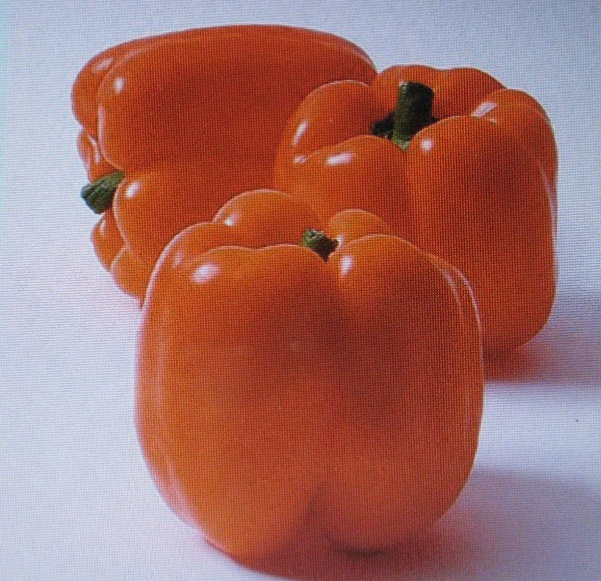 Sweet Horizon Pepper Seeds - 25 Pack - Orange Variety - Capsicum annuum - Colorful Garden Peppers for Cooking and Salads
