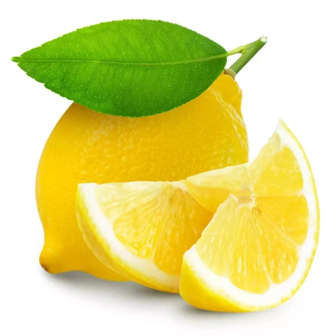 Lemon Seeds - 15 Pack - Citrus Limon - Fresh USA Grown - 2024 Harvest - Dwarf Tree Variety for Home Gardening