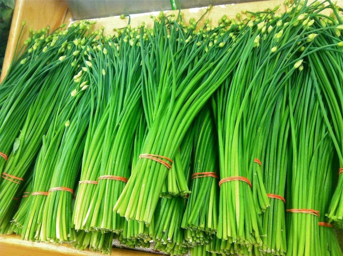 Organic Garlic Chives Seeds 200+ Heirloom NON-GMO Culinary Herb Allium tuberosum Perennial Garden Seeds