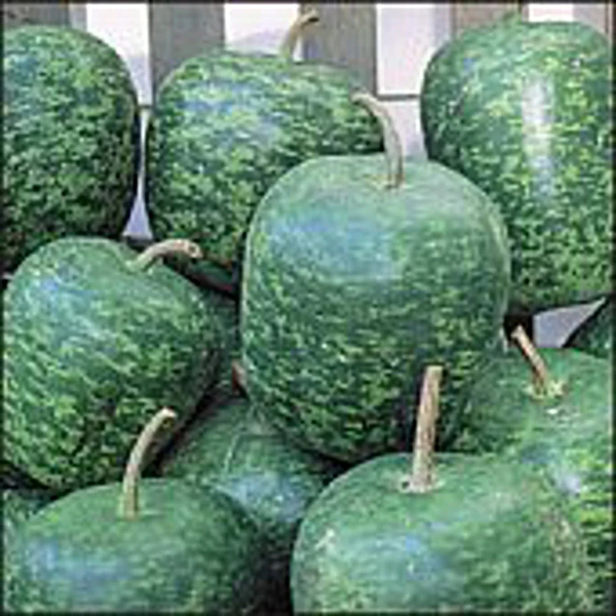 Apple Gourd Seeds (20+ Large Non-GMO Seeds) | Decorative Vegetable | Lagenaria siceraria | Easy to Grow
