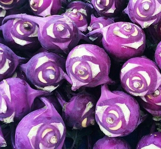 Kohlrabi Seeds 300+ Purple Vienna Culinary Brassica oleracea for Vegetable Garden, Low Maintenance & Fast Growing