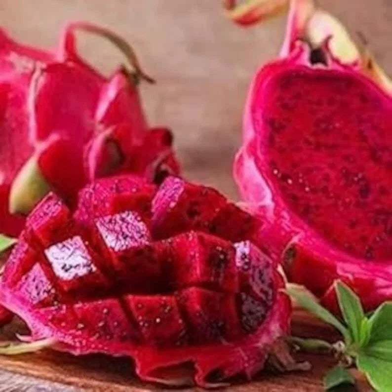 Red Dragon Fruit Seeds - 50 Pack, Hylocereus undatus, USA Grown, Non-GMO Heirloom, Easy to Grow