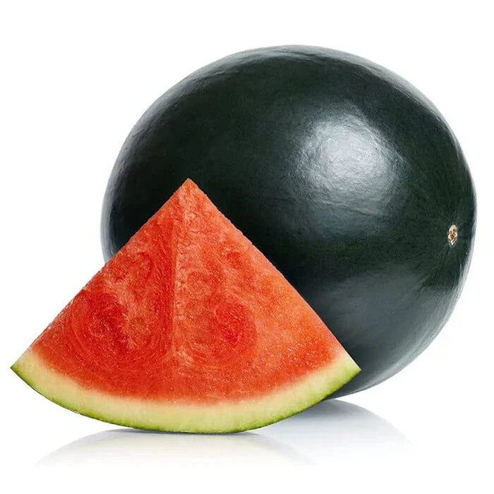 Black Diamond Watermelon Seeds | Heirloom Non-GMO Organic | Citrullus lanatus | 25 Pack for Home Gardening