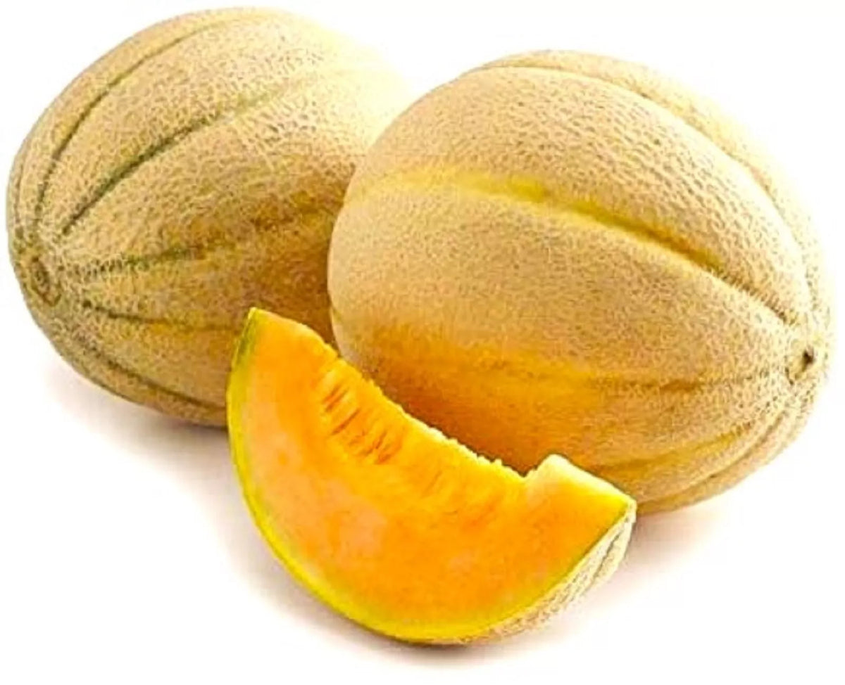Honey Rock Melon Cantaloupe Seeds - 25 Non-GMO Seeds - Sweet Variety - Cucumis melo for Home Gardeners