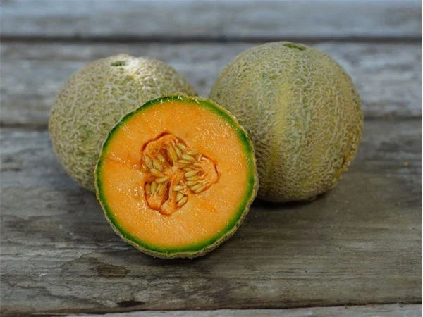 Cantaloupe Seeds - Honey Rock Variety - Cucumis melo - Non-GMO Fresh Seeds for Planting - Ideal for Home Gardens