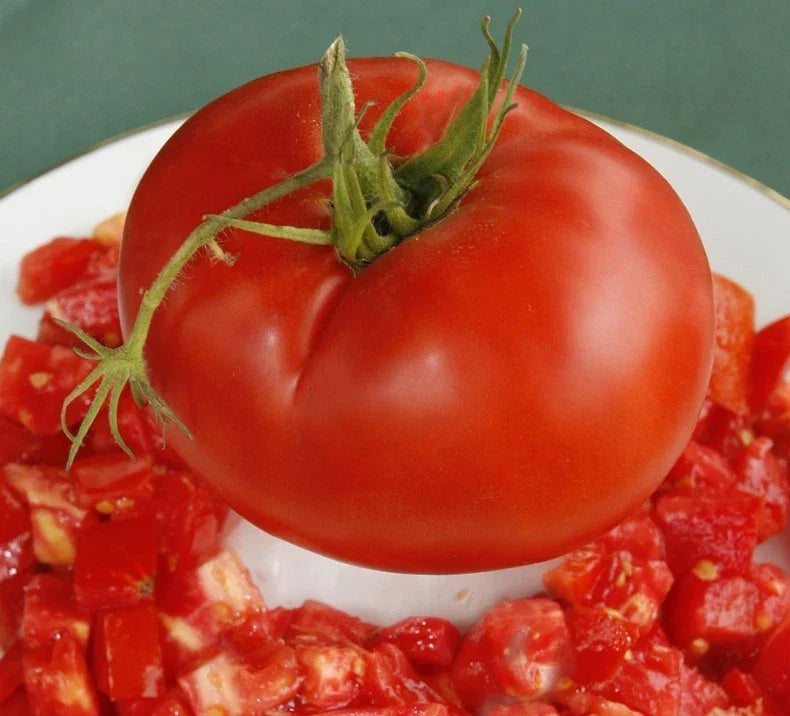 Giant Slicer Tomato Seeds - Bulk 50 Count - Delicious Variety (Solanum lycopersicum) - Meaty, High-Yielding, Easy to Grow