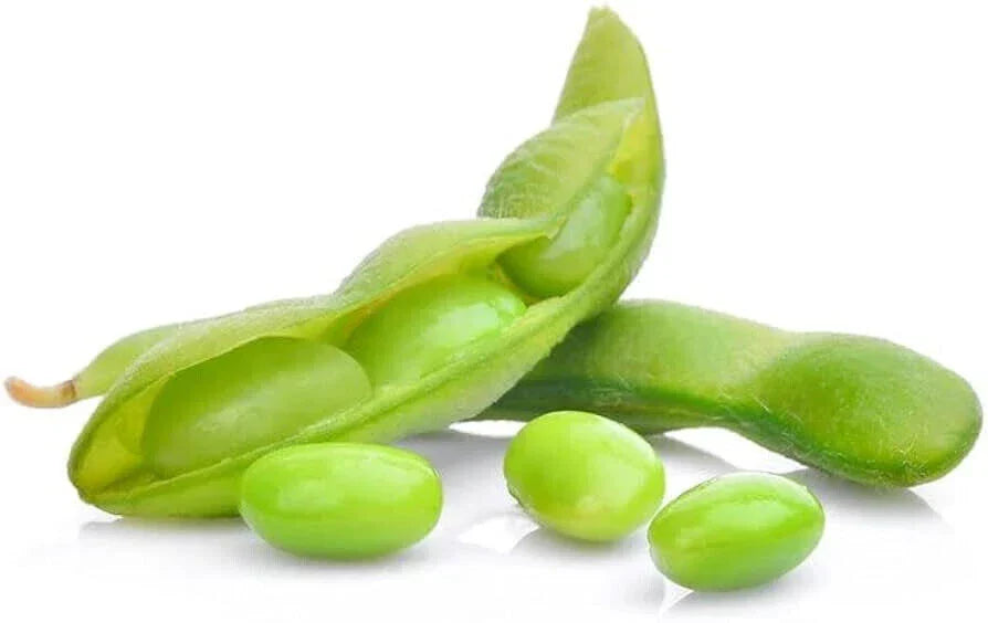 Edamame Seeds 10 Pack Besweet Bean Glycine max Non-GMO Heirloom Organic Gardening Seeds for Home Garden or Container