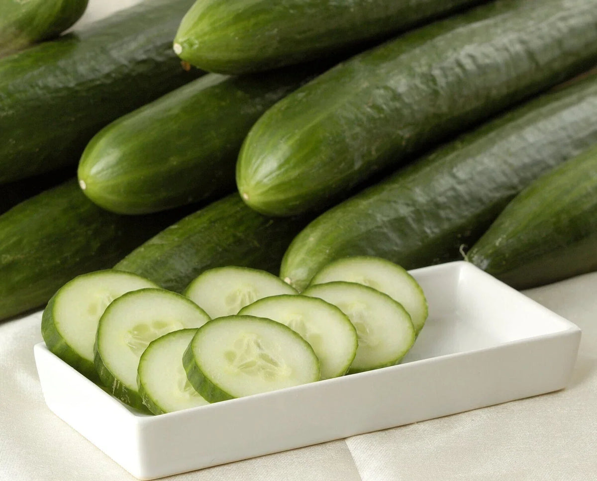 Ashley Long Cucumber Seeds - 25+ Heirloom, Non-GMO, Organic - Cucumis sativus - Perfect for Home Gardeners