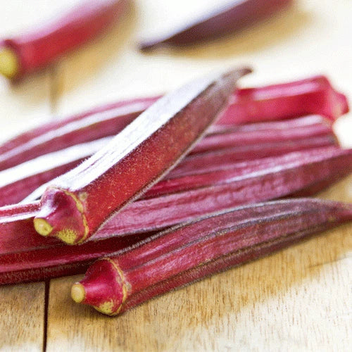 Red Burgundy Okra Seeds 50 Ct - Non-GMO Vegetable Garden Seeds - Abelmoschus esculentus - High Yield and Easy to Grow