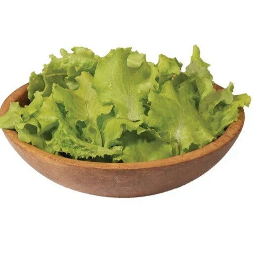 Black Seeded Simpson Lettuce Seeds - 250+ Non-GMO Seeds - Lactuca sativa for Home Gardening