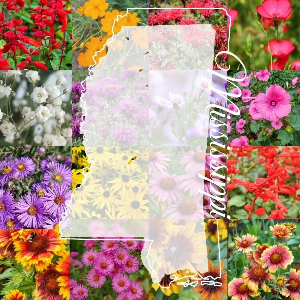 Wildflower Seed Mix 1lb - Mississippi Native Mix for Pollinators - Bulk Wildflower Seeds - Various Native Species