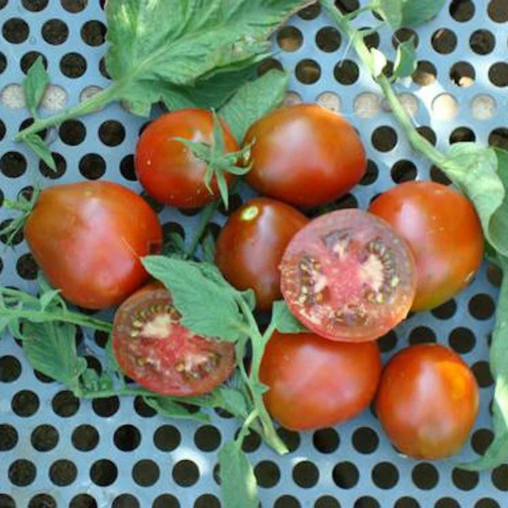 Black Truffle Tomato Seeds - 100 Pack - Non-GMO Heirloom - Lycopersicon esculentum - Indeterminate, Dark Flavorful Tomatoes