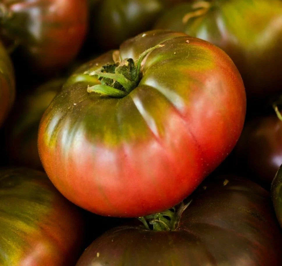 Cherokee Purple Tomato Seeds 50+ Indeterminate Heirloom Vegetable Solanum lycopersicum