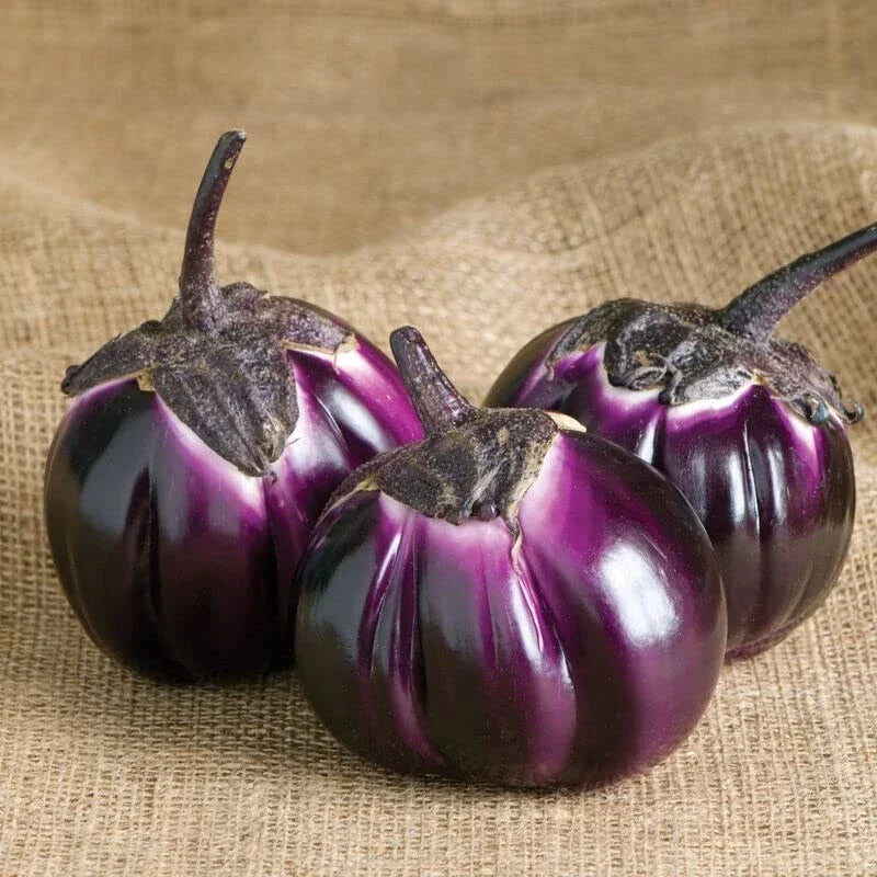 Barbarella Eggplant Seeds - 50 Non-GMO Seeds for Planting - Exotic Purple Variety - Solanum melongena