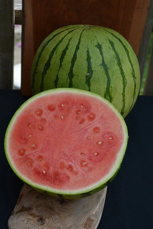 Tiger Baby Watermelon Seeds - 50+ Pack, Citrullus lanatus, Non-GMO, USA Grown, Ideal for Home Gardening and Container Planting