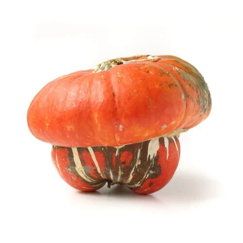 Turks Turban Squash Seeds - 25+ Pack - Cucurbita maxima - Heirloom Variety for Garden Planting - Non-GMO