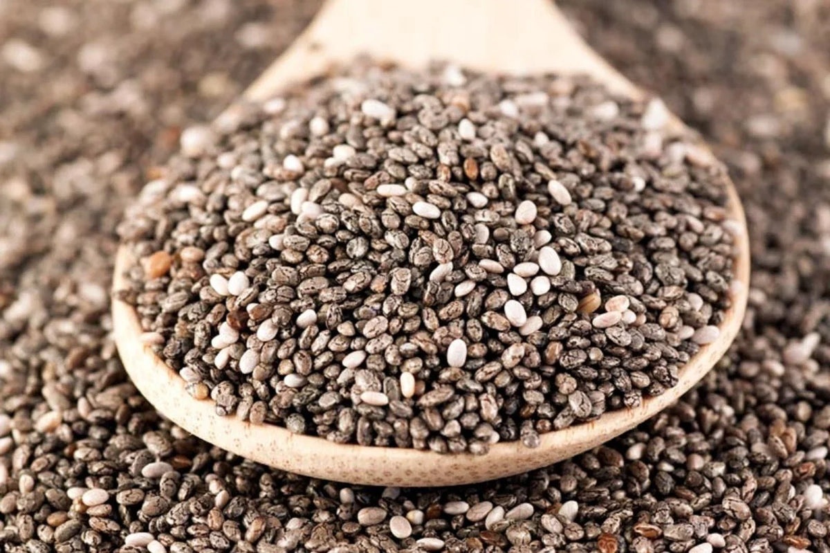 Chia Seeds 12 Ounces Organic Microgreens Superfood Salvia hispanica Non-GMO Omega-3 Rich for Sprouting and Healthy Living