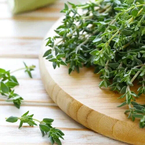 Thyme Seeds | Heirloom Non-GMO Culinary Herb | Thymus vulgaris | 200 Seeds for Home Gardening