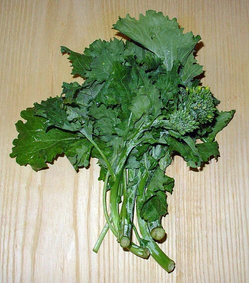 Broccoli Raab Seeds 1000 Count Rabe Rapini Heirloom Brassica rapa for Vegetable Garden Planting