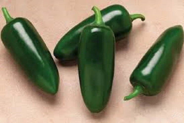 Organic Jalapeno Seeds - Premium Heirloom Capsicum annuum - 2000-8000 Scoville - 25 Seeds for Home Garden